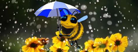 do bees like music? do they also appreciate the sound of rain?